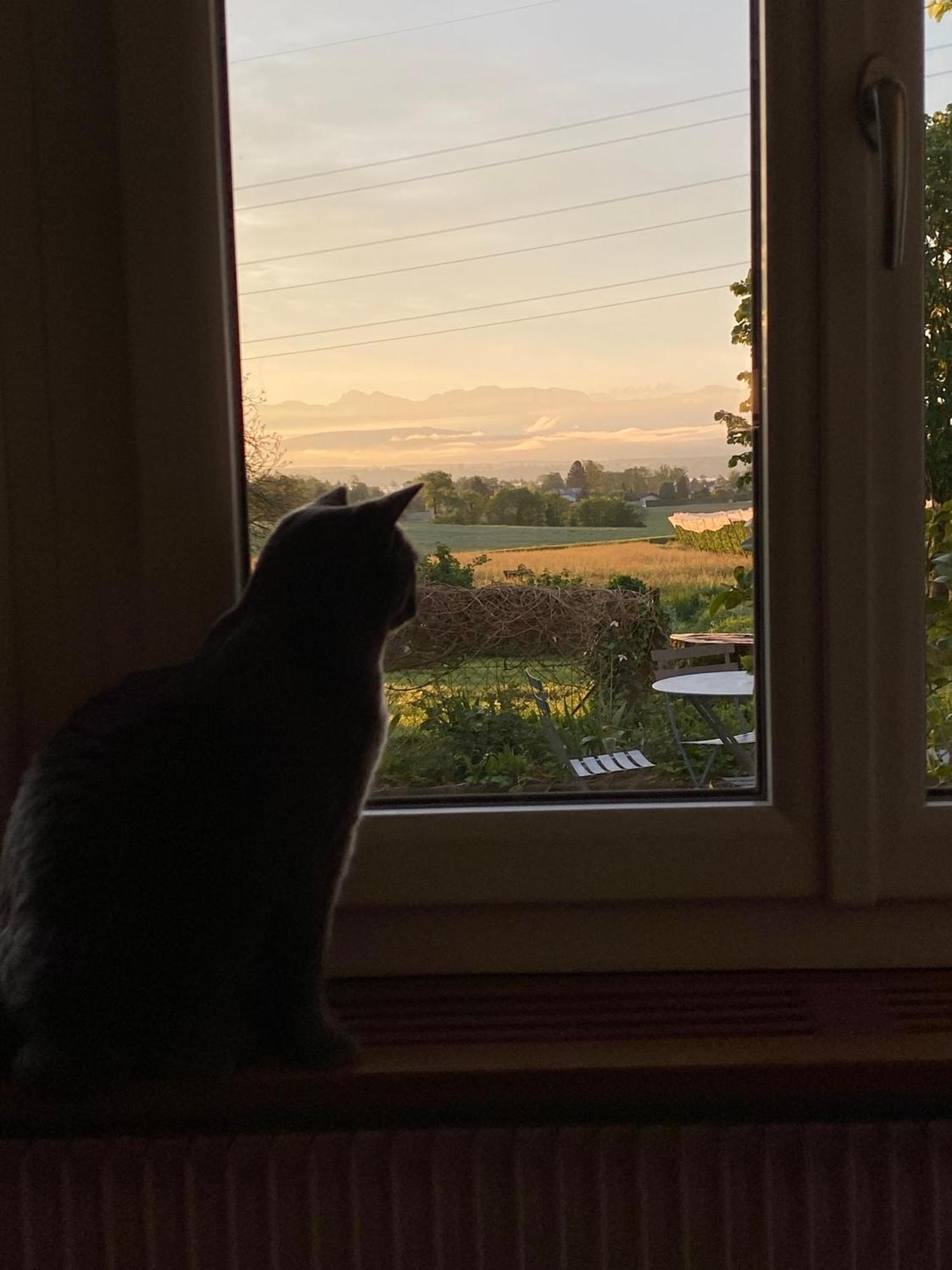 B&B Domaine En Trembley Commugny Exterior foto