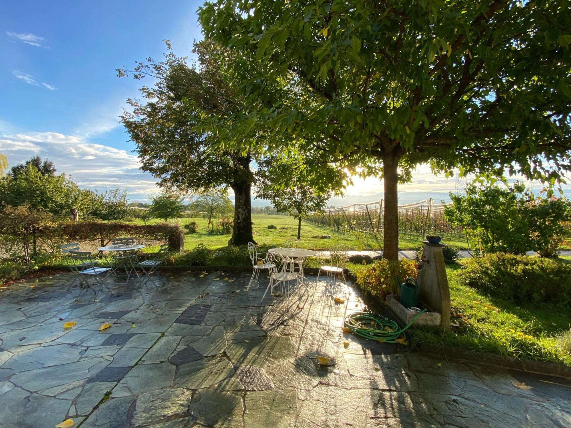 B&B Domaine En Trembley Commugny Exterior foto