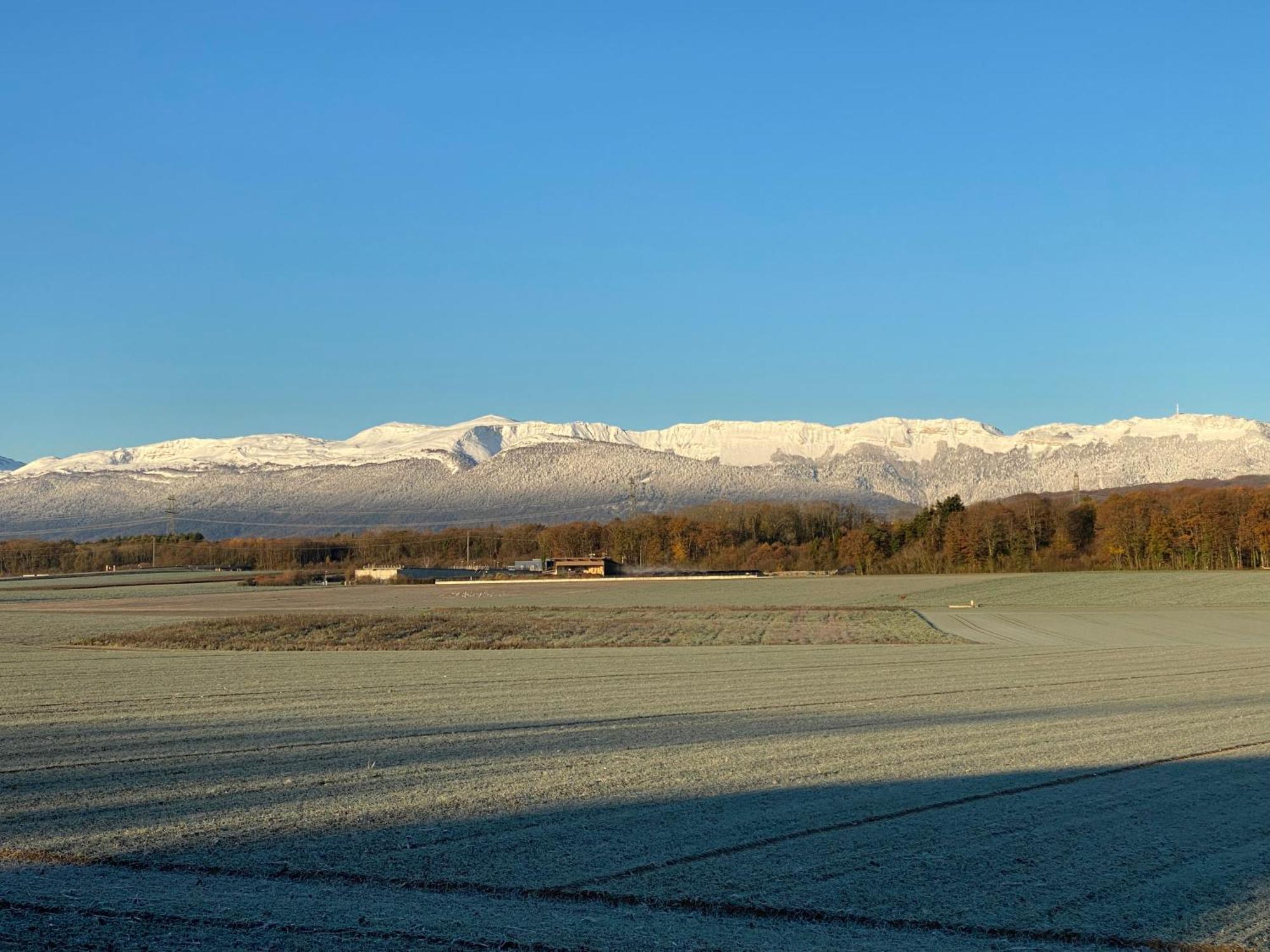 B&B Domaine En Trembley Commugny Exterior foto
