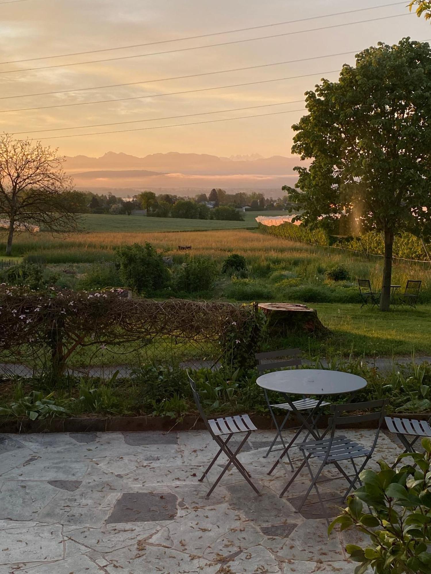 B&B Domaine En Trembley Commugny Exterior foto