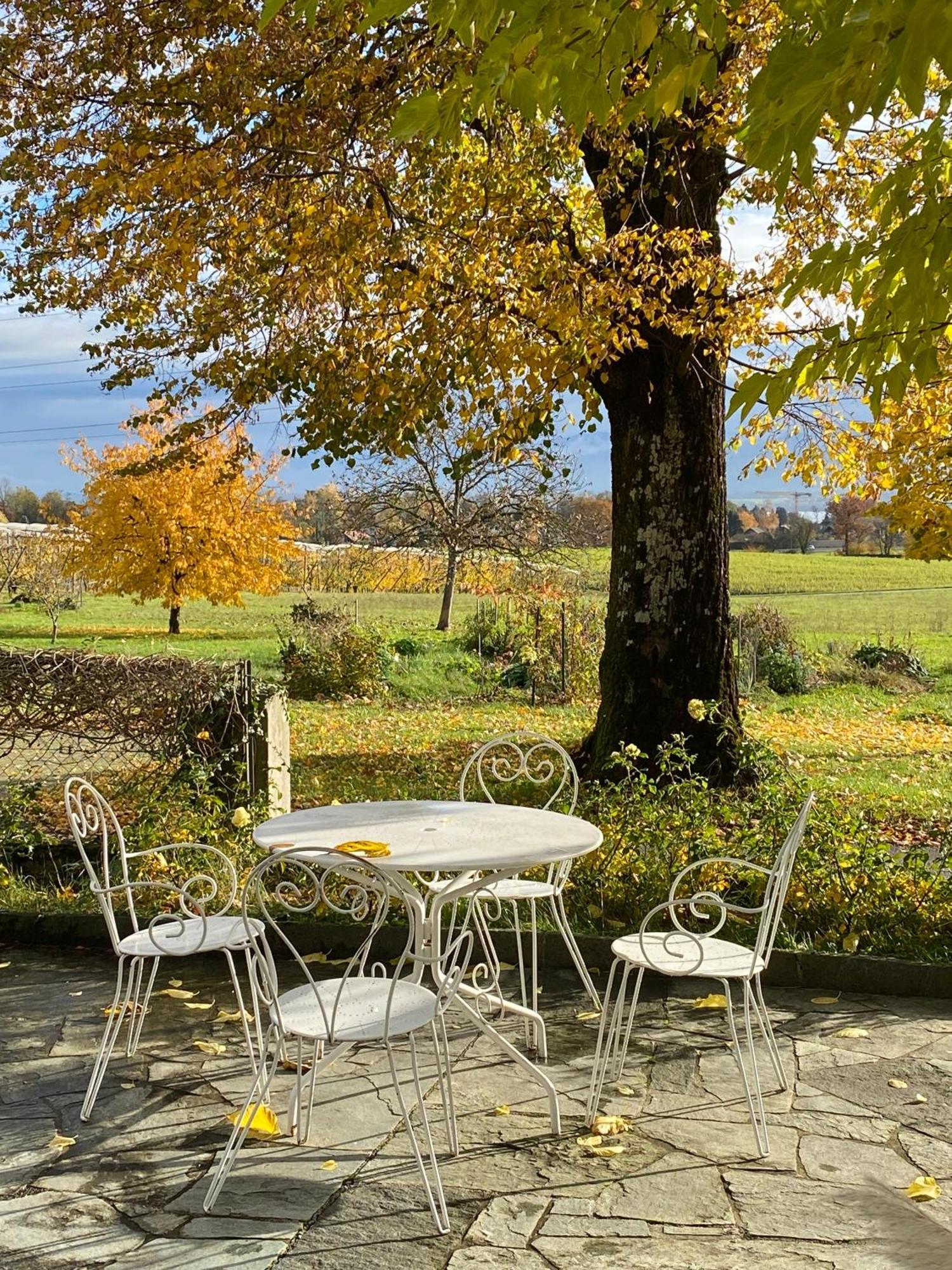 B&B Domaine En Trembley Commugny Exterior foto