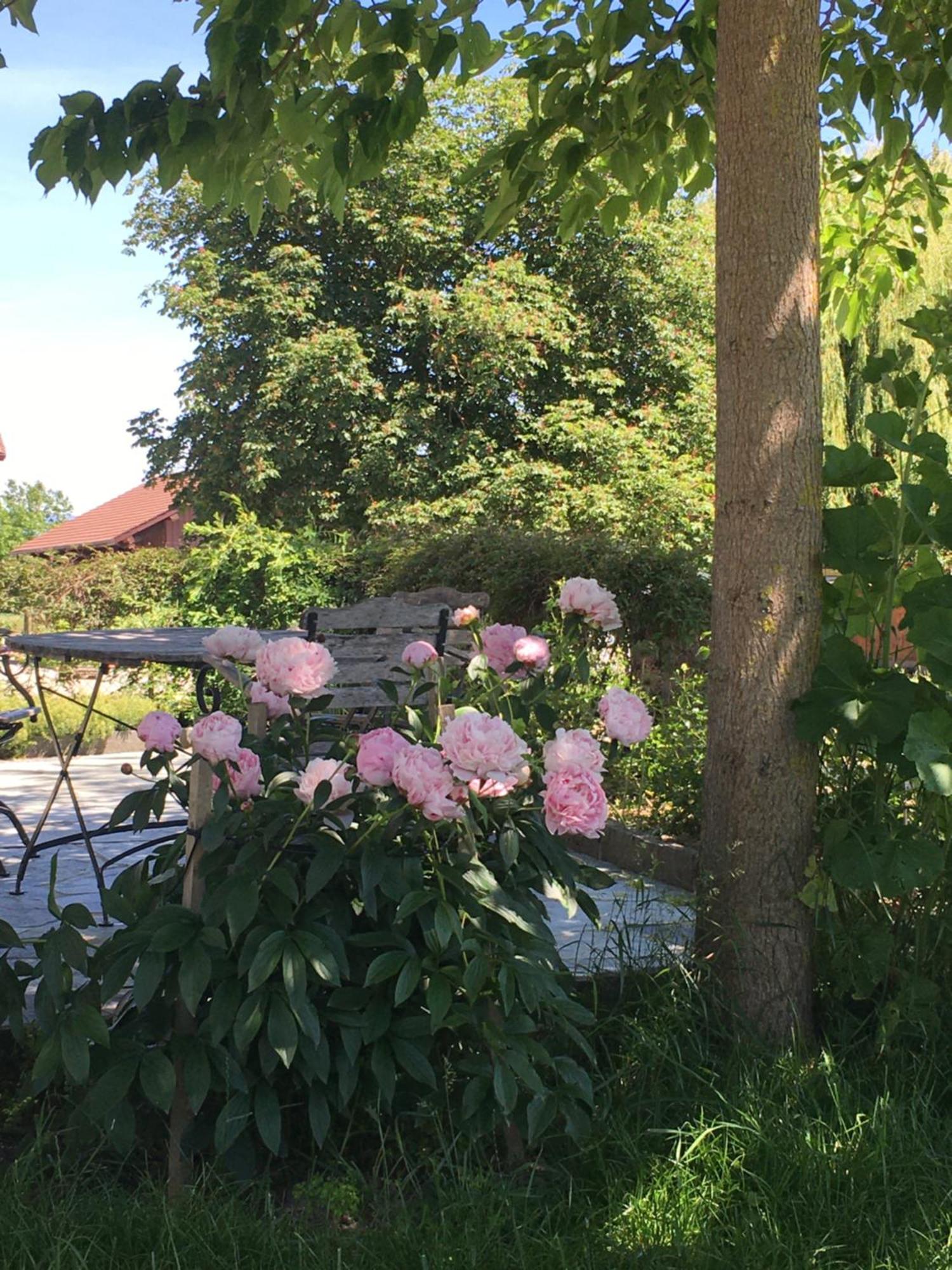 B&B Domaine En Trembley Commugny Exterior foto